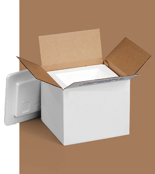 Custom Printed Dry Ice Shipping Boxes