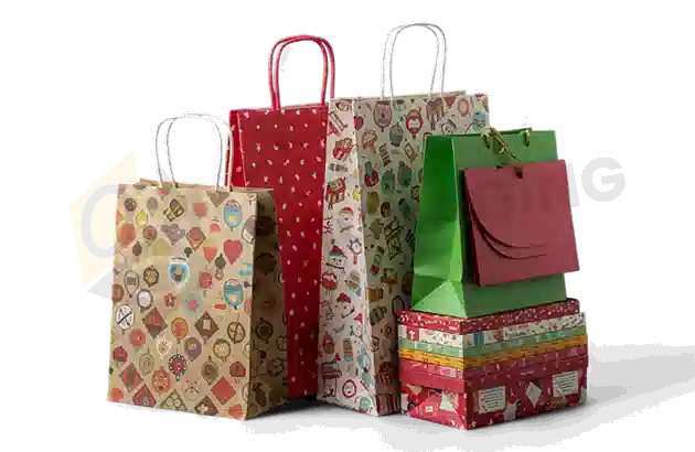 Custom Printed Gift Bags 2