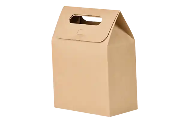 kraft paper box with handle bulk