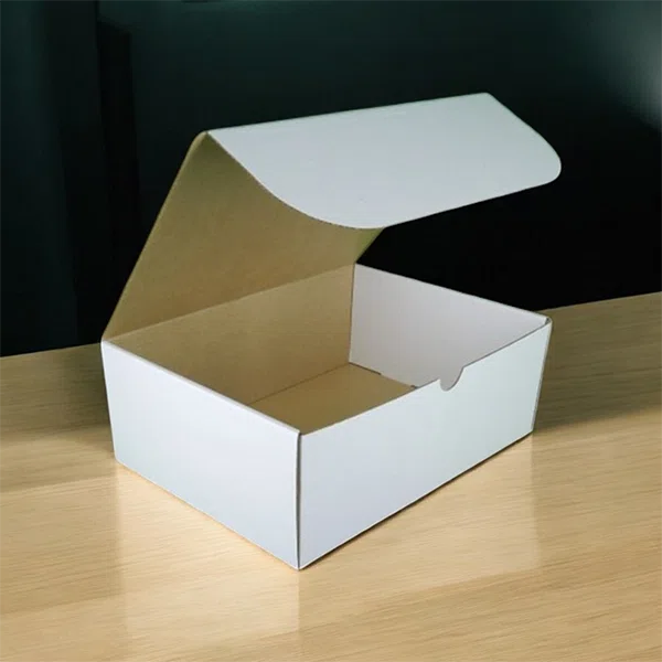 Hinged Lid Boxes Packaging
